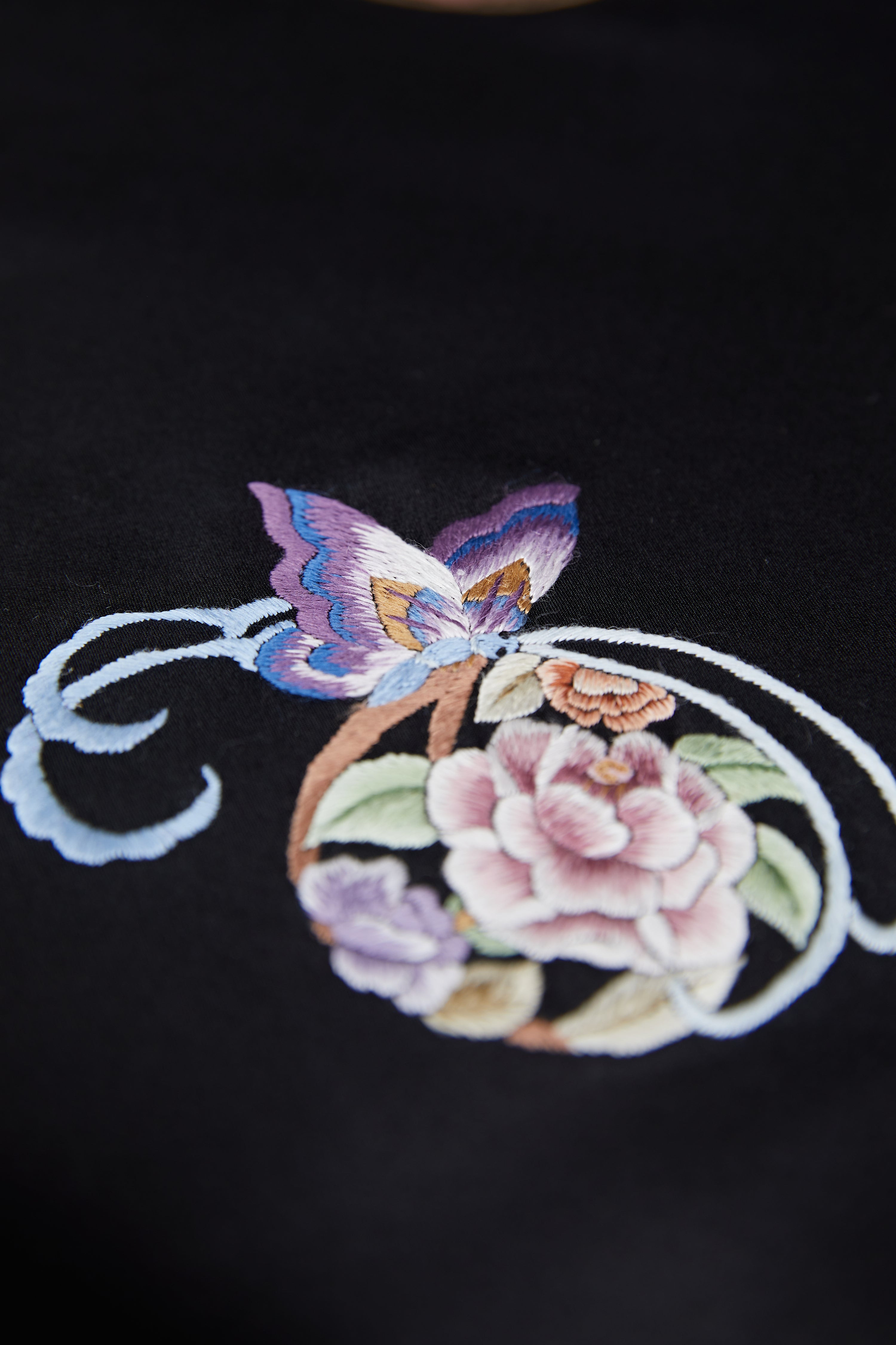 The Classic of Mountains and Rivers《黑色山海经》