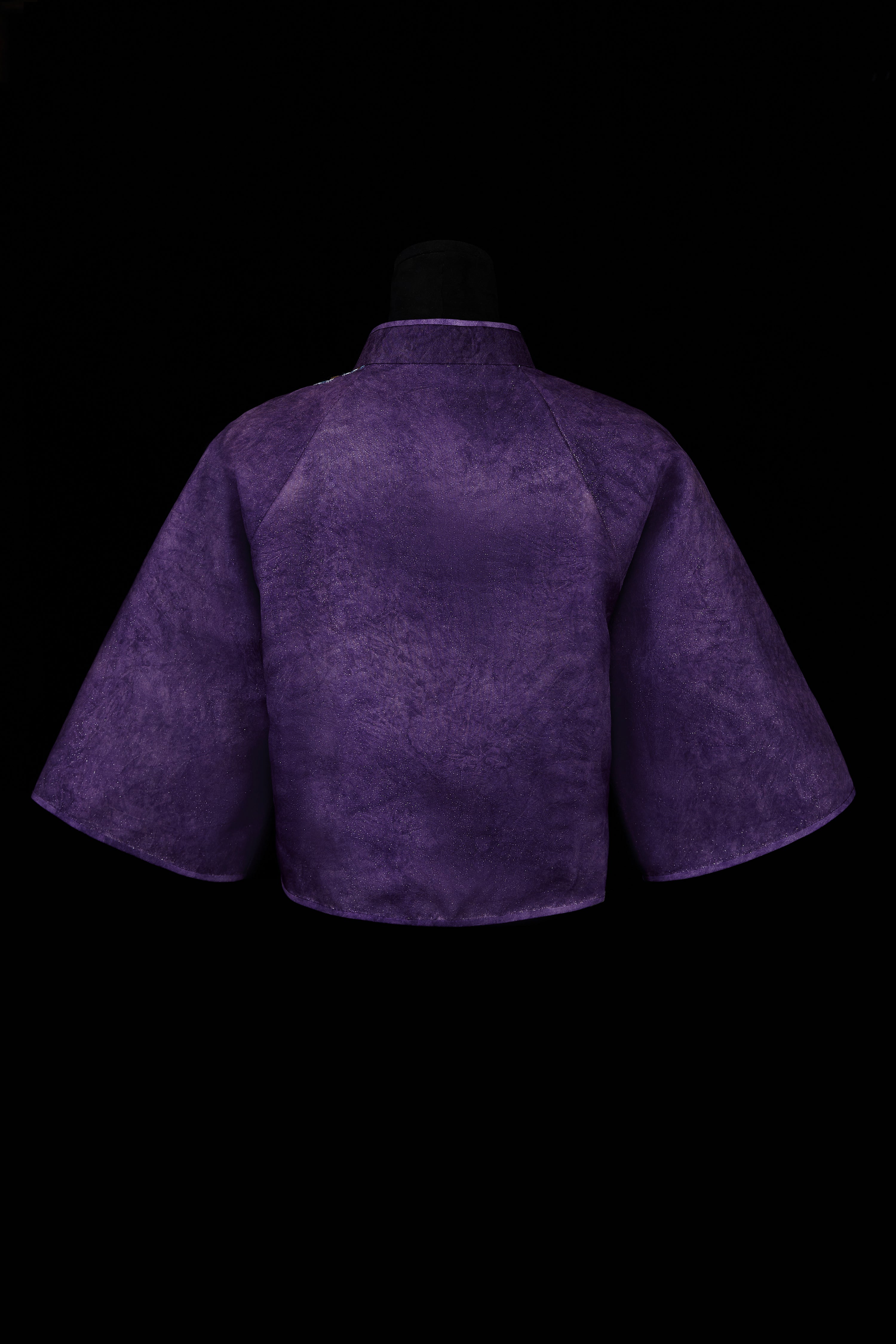 Crane and Deer in Spring《鹤鹿同春》